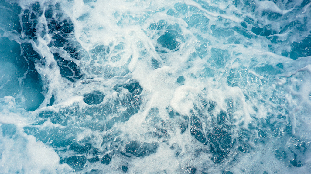 Climate Change Turns Oceans Green: A Reflection of Alarming Shifts