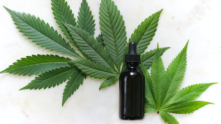 Minnesota Cannabis Businesses Hope to Cultivate Home Growing