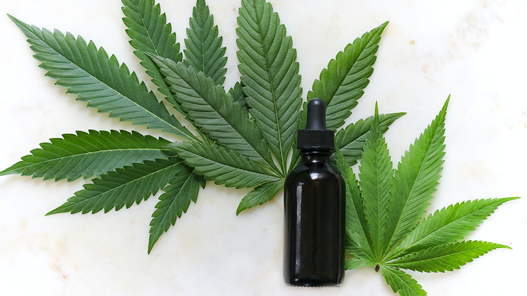 Minnesota Cannabis Businesses Hope to Cultivate Home Growing