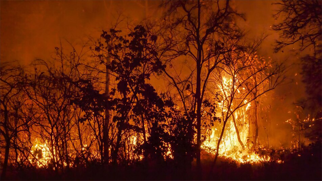 Northstate Braces for Annual East Winds, Potential Increase in Fire Risks Loom